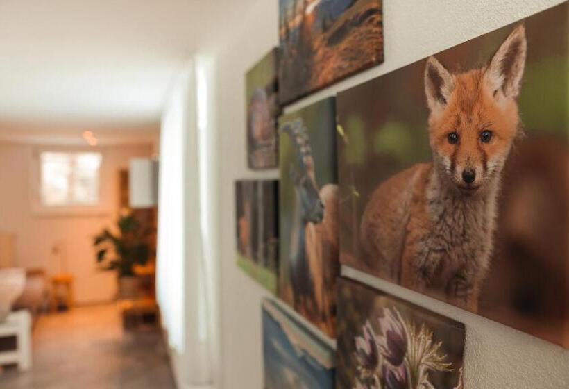 住宿加早餐 Haus Meierhüsli