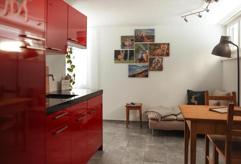 住宿加早餐 Haus Meierhüsli