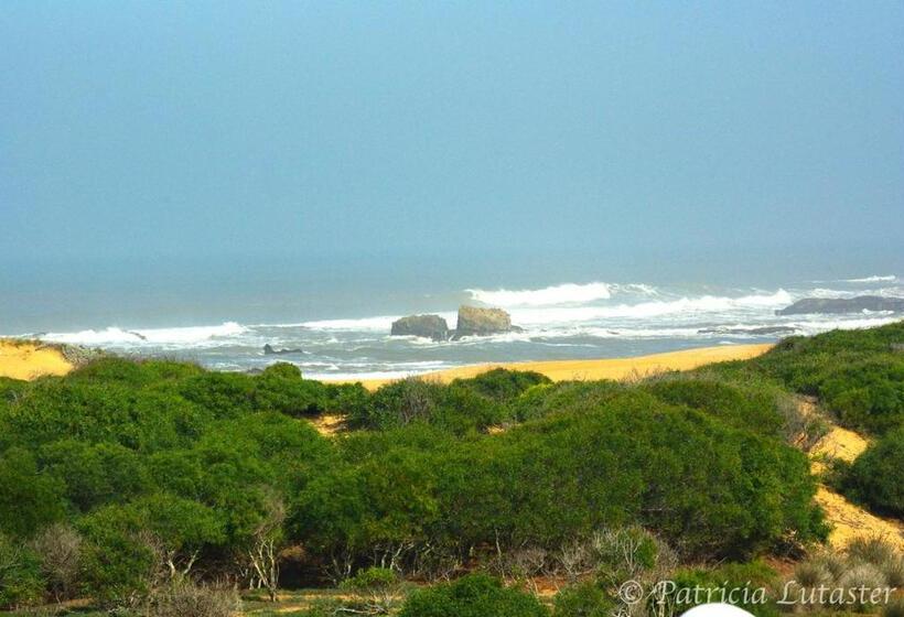 تختخواب و صبحانه Issablanca