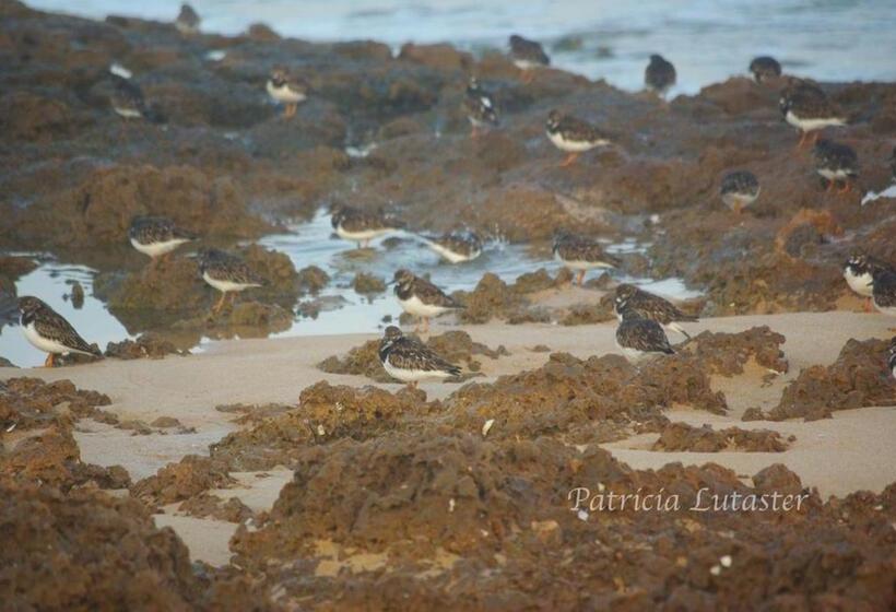 تختخواب و صبحانه Issablanca