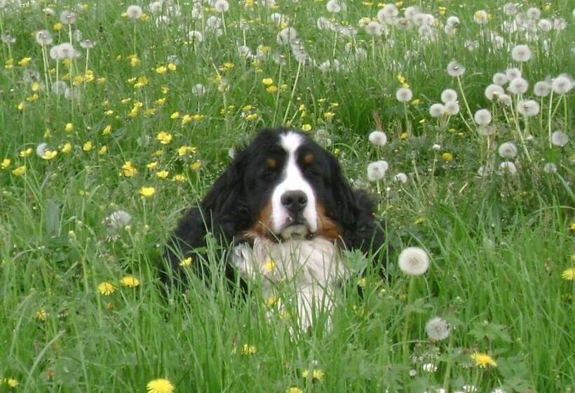 住宿加早餐  La Ferme De La Velle