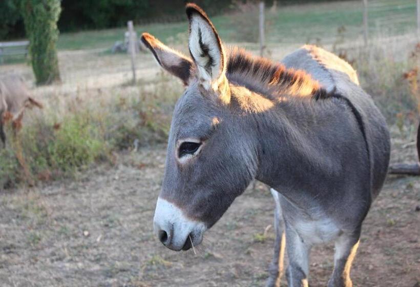 צימר Le Vallon Des Ronzières