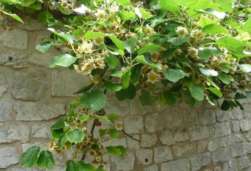 Bed and Breakfast Maison D Hôtes Les Coquelicots