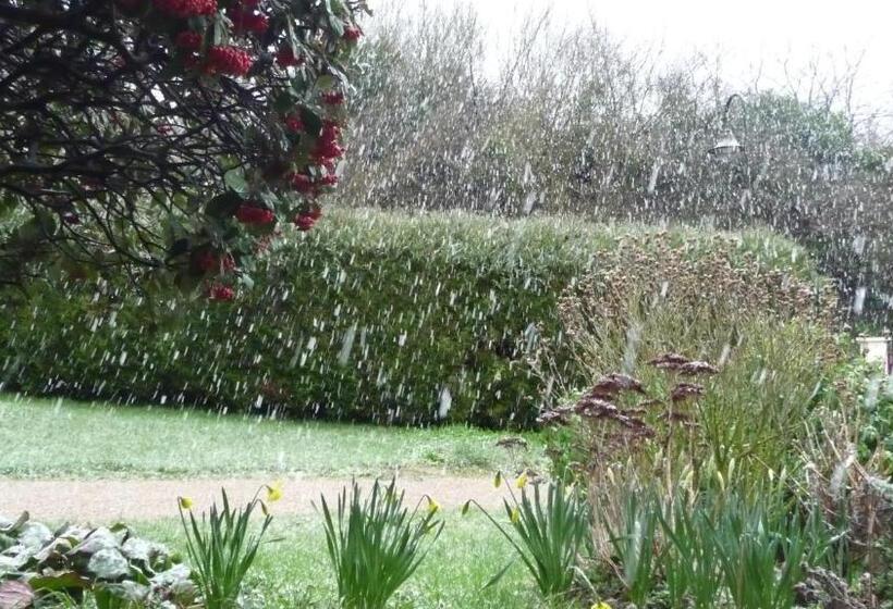 Bed and Breakfast Maison D Hôtes Les Coquelicots