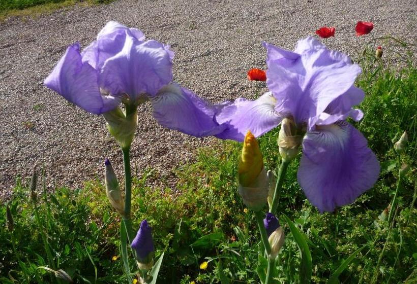 Bed and Breakfast Maison D Hôtes Les Coquelicots