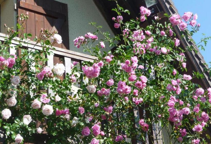 Bed and Breakfast Maison D Hôtes Les Coquelicots