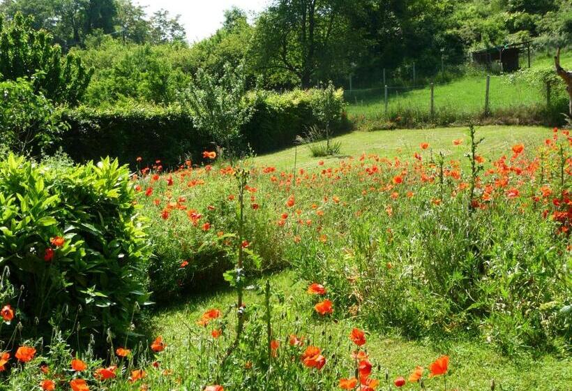 Bed and Breakfast Maison D Hôtes Les Coquelicots