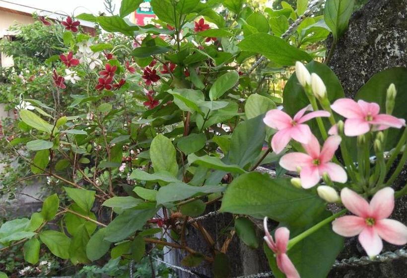 צימר Mini S Residence