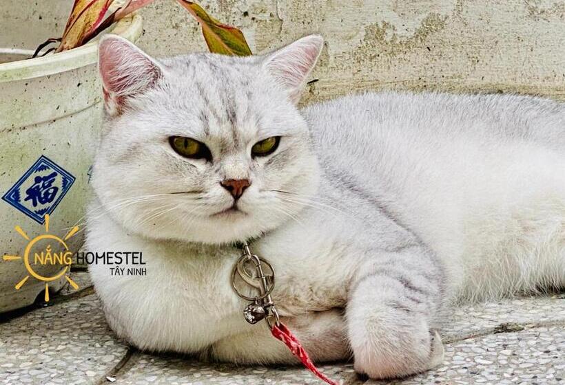 تختخواب و صبحانه Nắng Homestel Tây Ninh