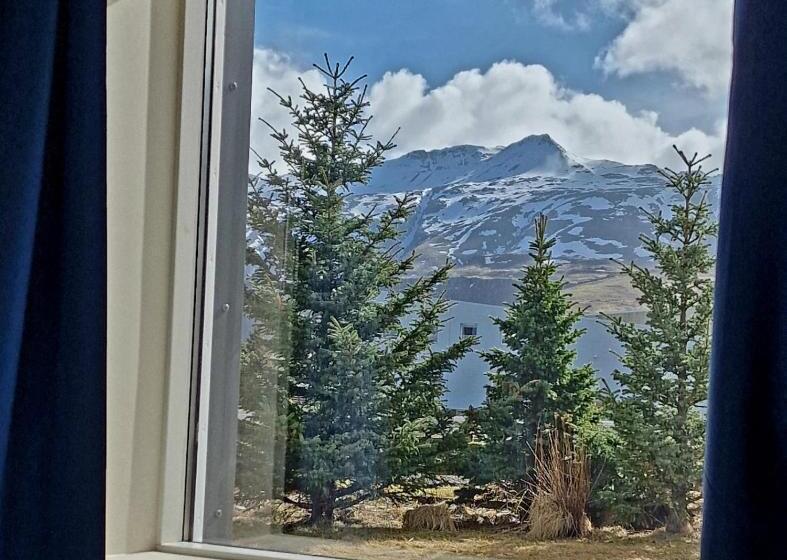 تختخواب و صبحانه Olga Apartments