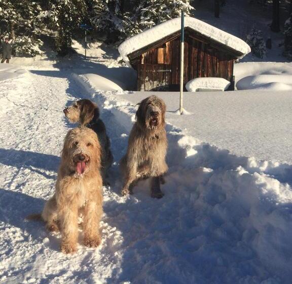 住宿加早餐  Pension Muggengrat