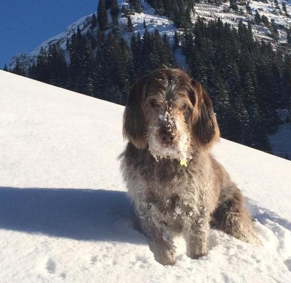 住宿加早餐  Pension Muggengrat