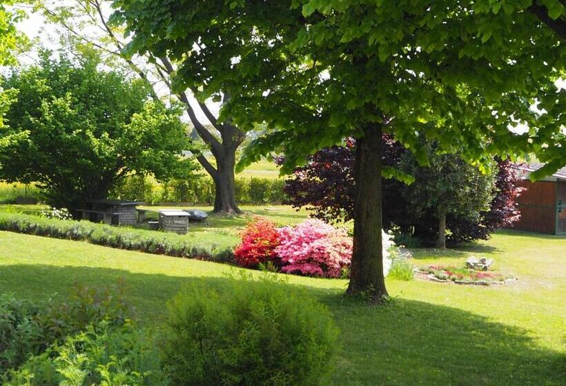 Blu Lavanda Bed & Breakfast