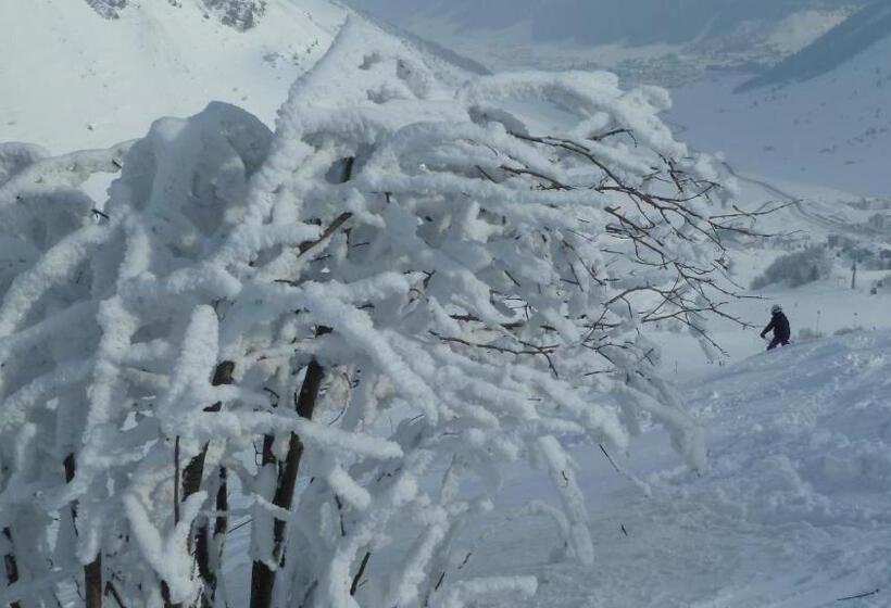 Frühstückspension & Ferienhaus Fädnerspitze