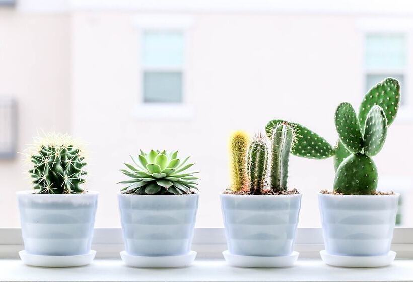 Отель 44 Residence And Resort