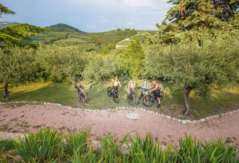 ホテル Agriturismo Casa Zen