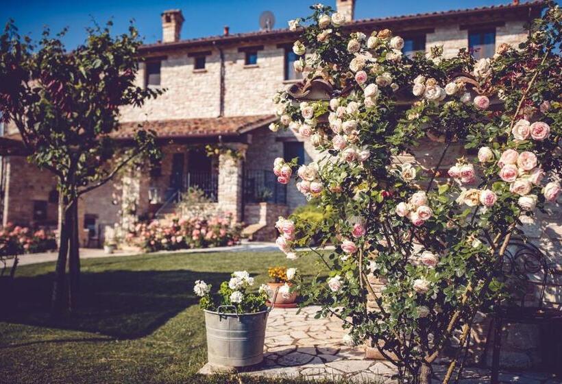 호텔 Agriturismo Casal San Sergio