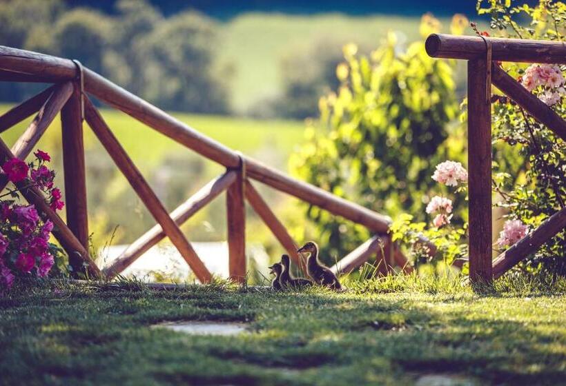 호텔 Agriturismo Casal San Sergio