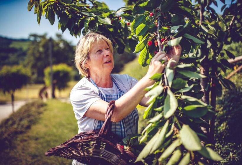 호텔 Agriturismo Casal San Sergio