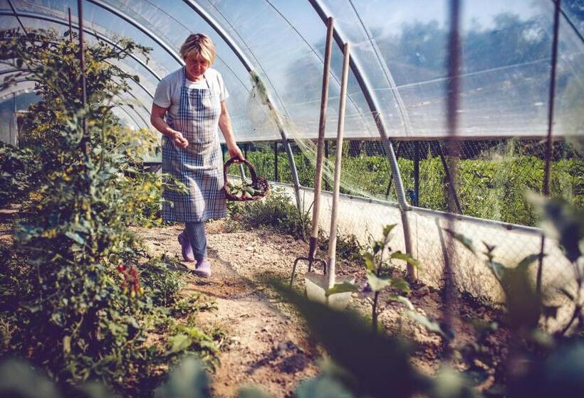 호텔 Agriturismo Casal San Sergio