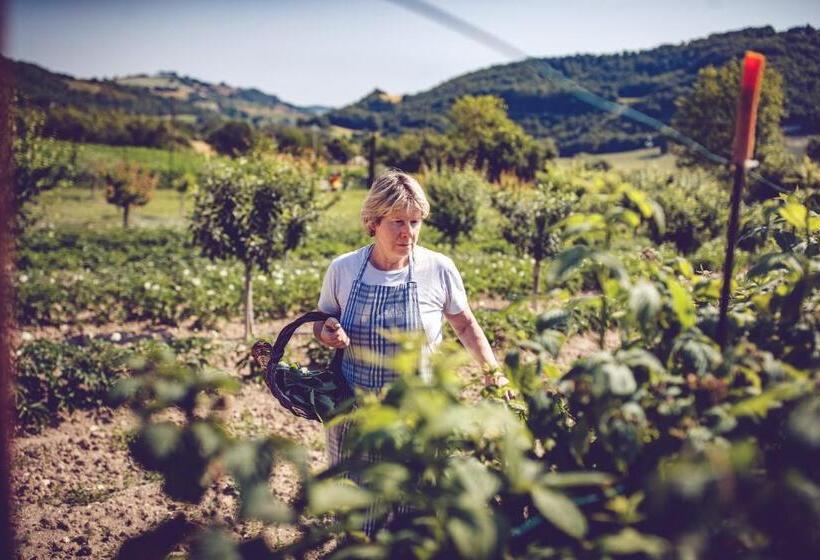 호텔 Agriturismo Casal San Sergio