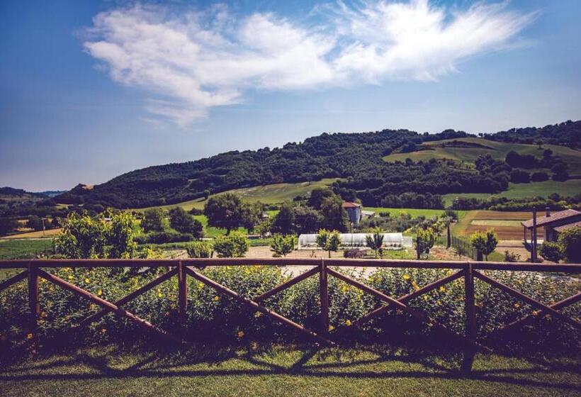 호텔 Agriturismo Casal San Sergio