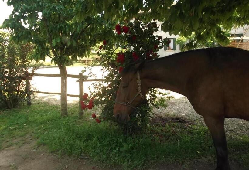 בית מלון כפרי Agriturismo La Prateria