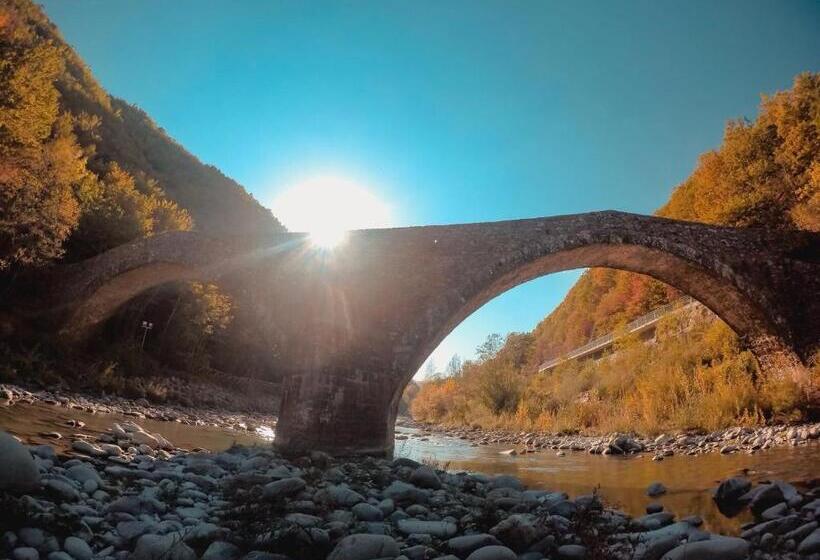 酒店 Albergo Ristorante Galli