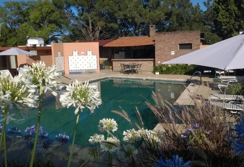 فندق Brisas Del Este