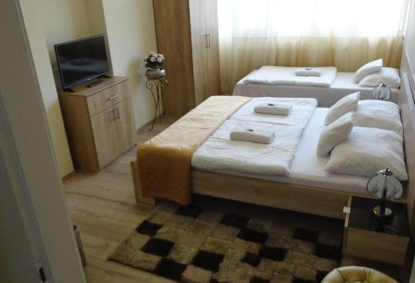 호텔 Centrum Szeged