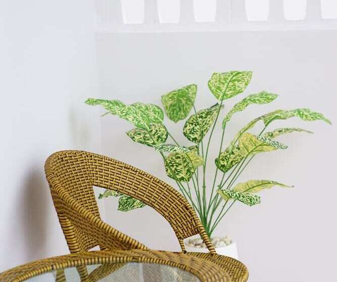 Отель Chanmuang Resort