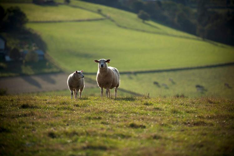 호텔 Chateau De Strainchamps