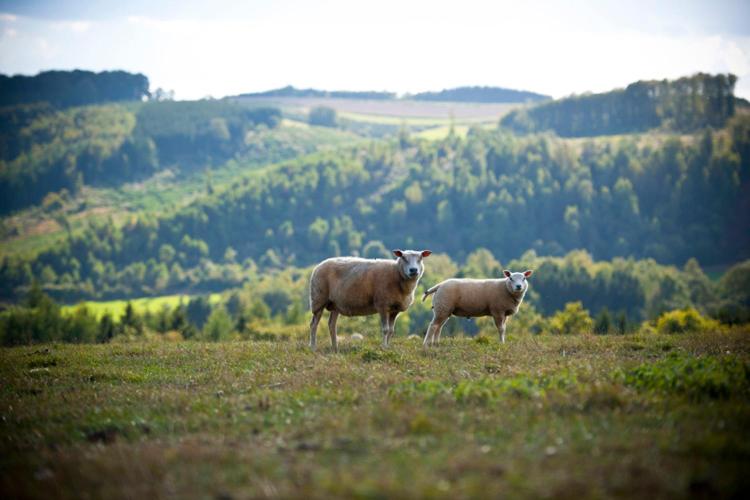 호텔 Chateau De Strainchamps