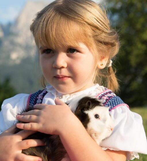 Отель Dosserhof