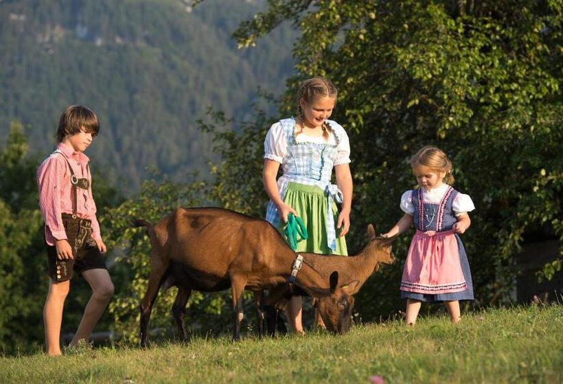 Отель Dosserhof