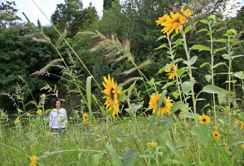 هتل Farm Stay Domačija Butul