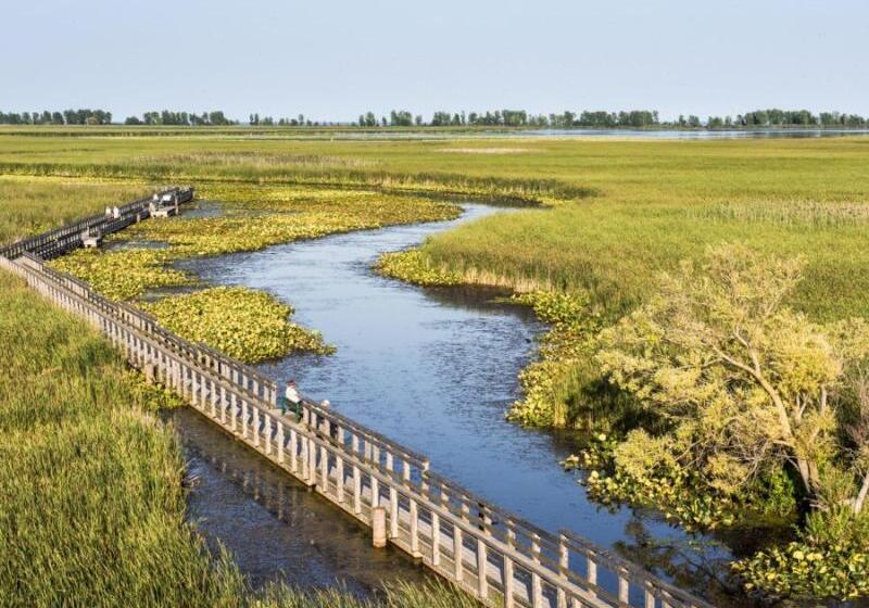 فندق Holiday Inn Express & Suites Windsor East   Lakeshore, An Ihg