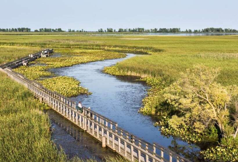 فندق Holiday Inn Express & Suites Windsor East   Lakeshore, An Ihg