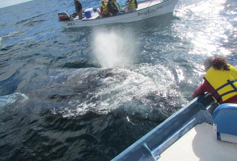 ホテル Isabela, Mag Bay