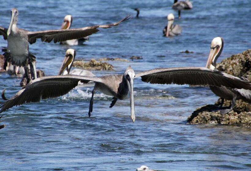 ホテル Isabela, Mag Bay
