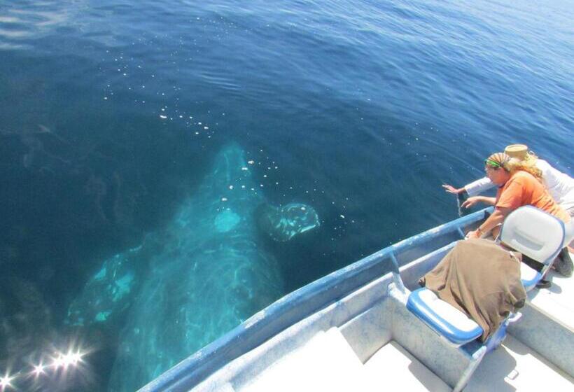 ホテル Isabela, Mag Bay