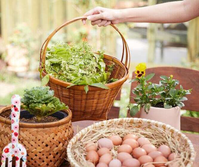 酒店 La Cocotte Villa & Farm Khao Yai