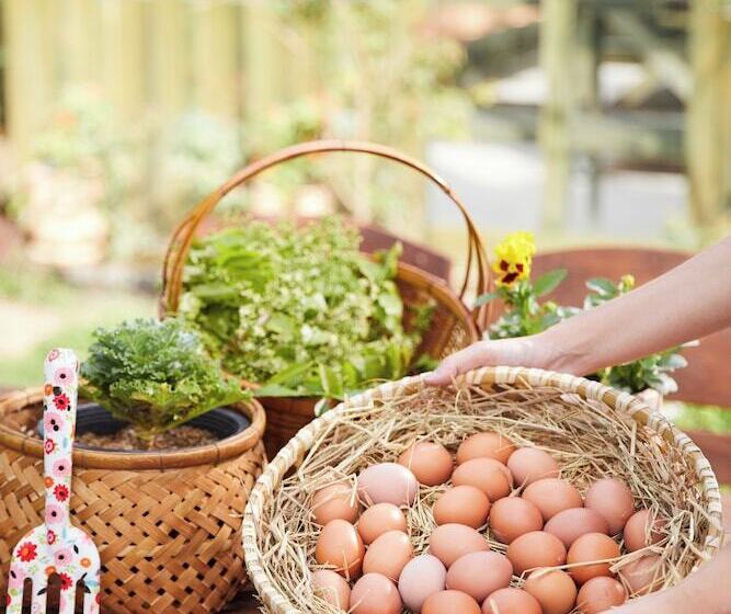 酒店 La Cocotte Villa & Farm Khao Yai