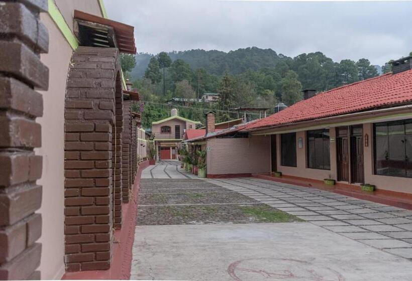 فندق La Margarita