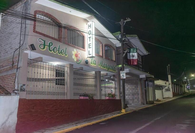 فندق La Margarita
