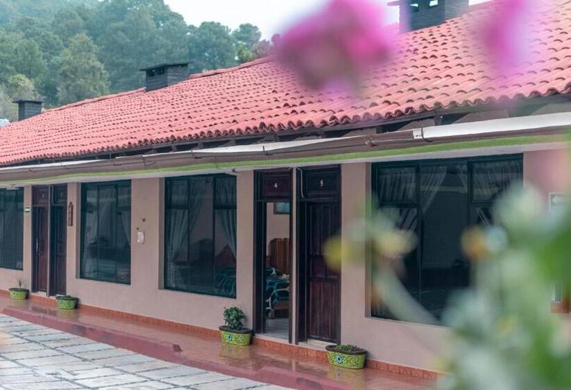 فندق La Margarita