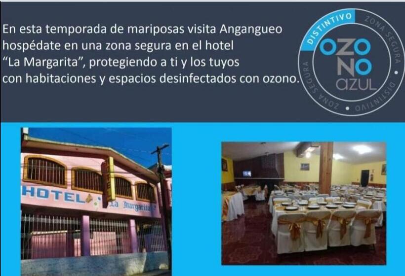 فندق La Margarita