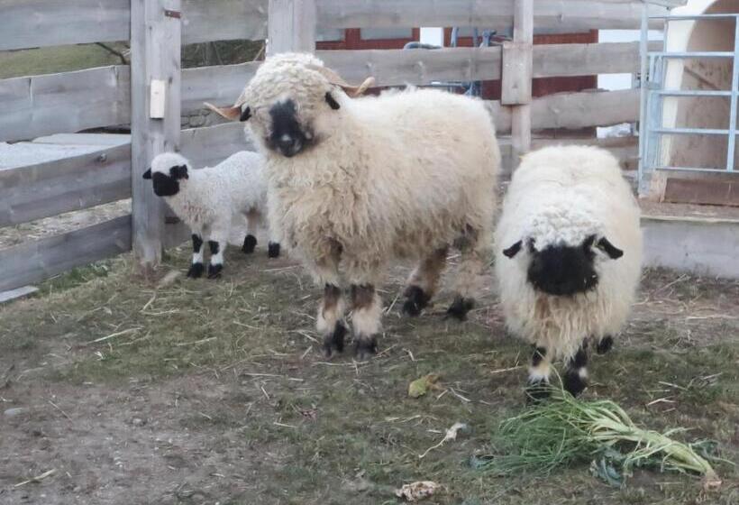 בית מלון כפרי Oberschlichterhof