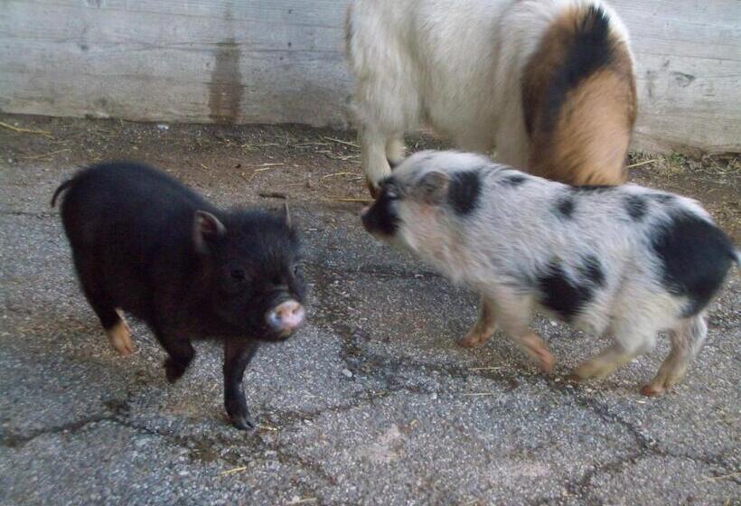 בית מלון כפרי Oberschlichterhof