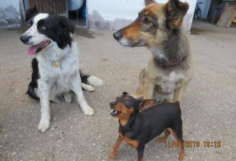 בית מלון כפרי Oberschlichterhof